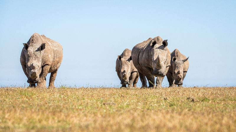 בית מלון כפרי Botlierskop The Village Lodge