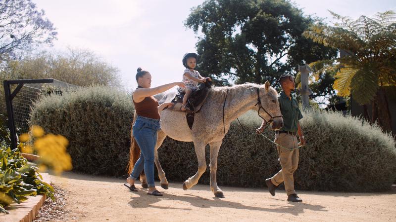 בית מלון כפרי Botlierskop The Village Lodge