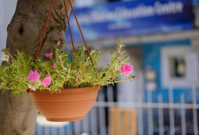 Отель Vila Conte