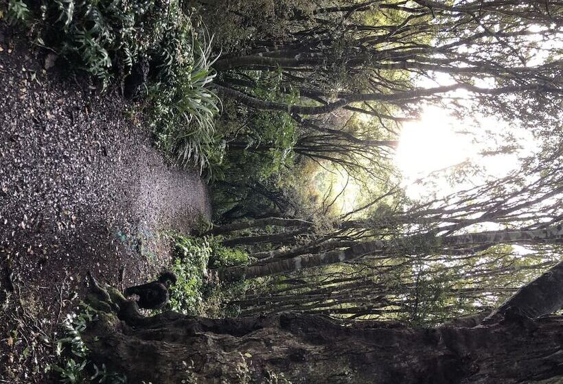 Nugget View Kaka Point Motels