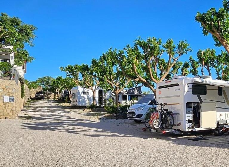 Odmoree Camp & Hostel