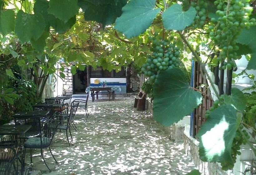 Posada Amor Hotel Boutique