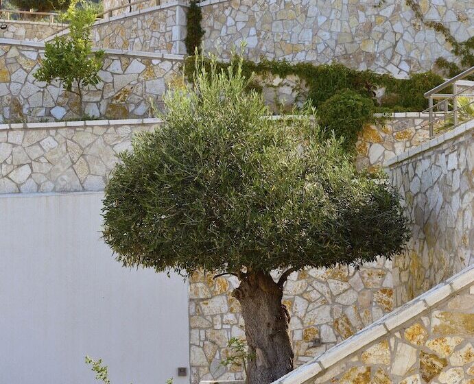 فندق Prima Vista Beachfront Boutique