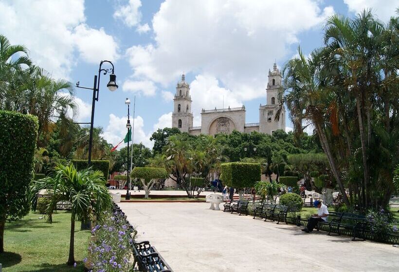 فندق فئة نجمة واحدة La Casa Del Turix
