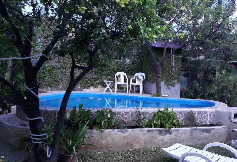 فندق فئة نجمة واحدة La Casa Del Turix