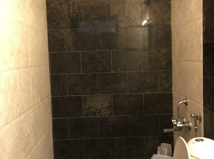 Отель Geeson International New Delhi Railway Station Paharganj