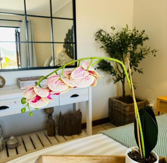 هتل Bliss In The Bay Guesthouse