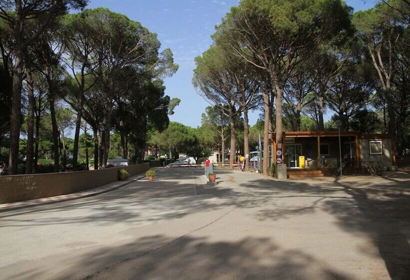 فندق Camping Neptuno