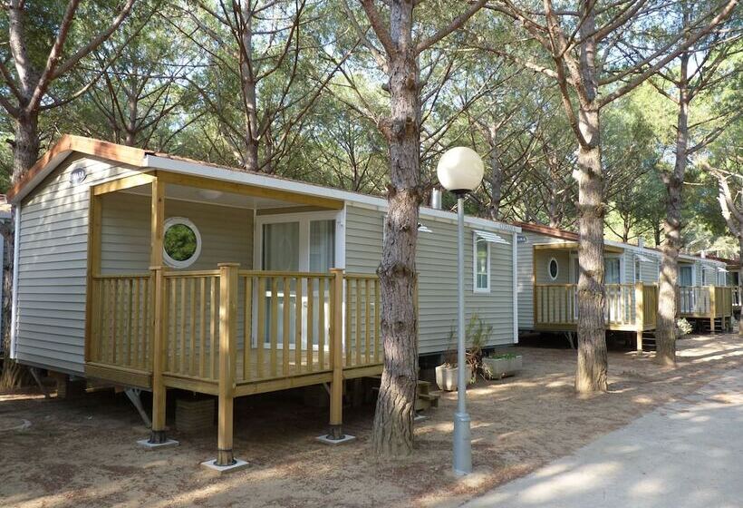 فندق Camping Neptuno