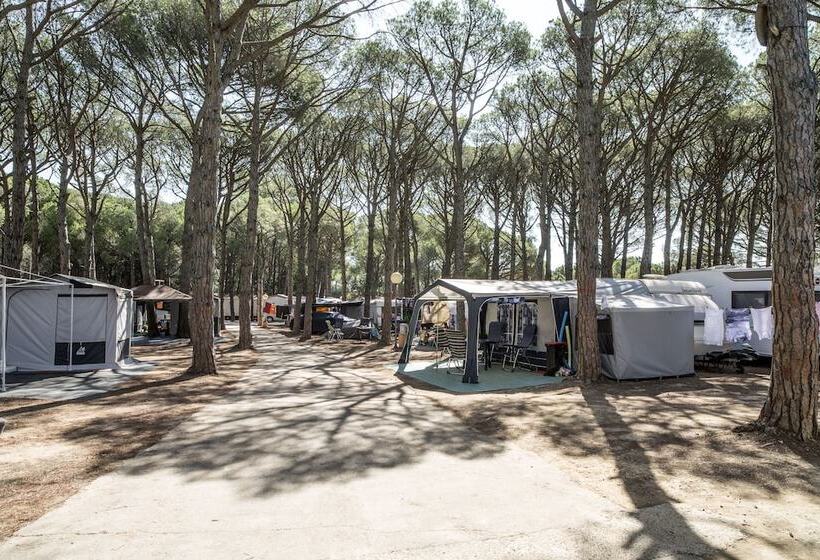 فندق Camping Neptuno