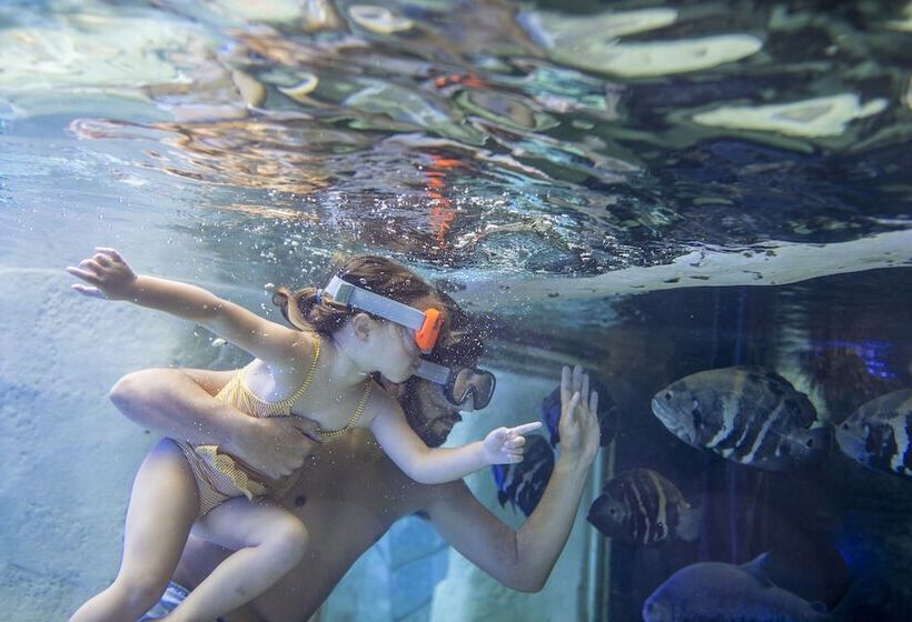 בית מלון כפרי Center Parcs Le Bois Aux Daims