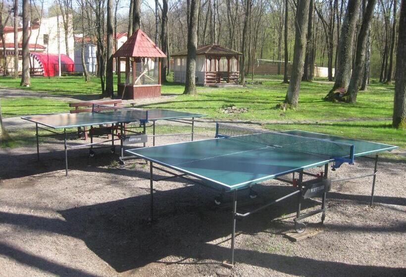 Отель Complex Zelenyi Gai