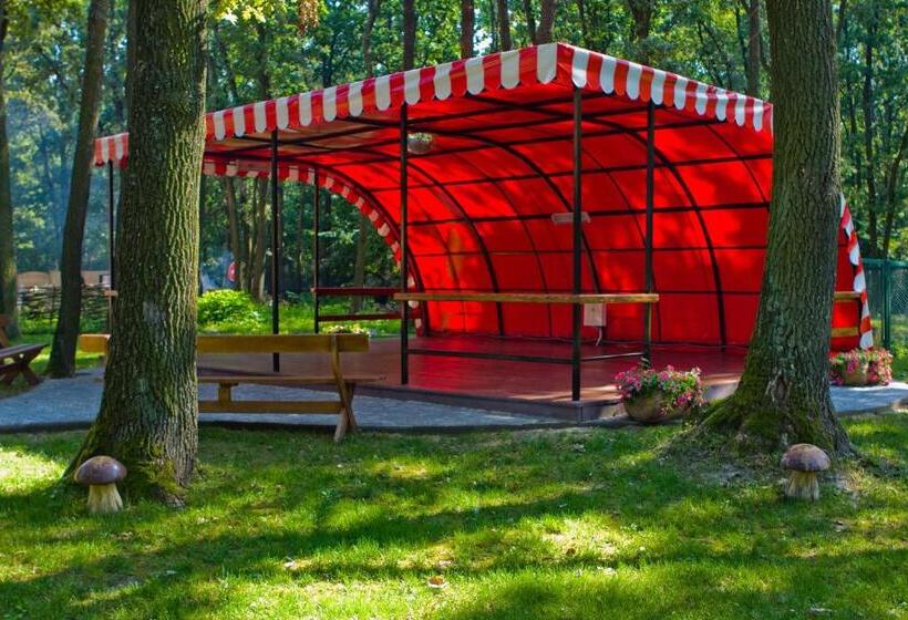 Отель Complex Zelenyi Gai