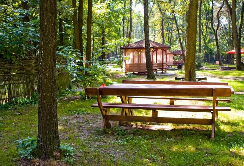 Отель Complex Zelenyi Gai