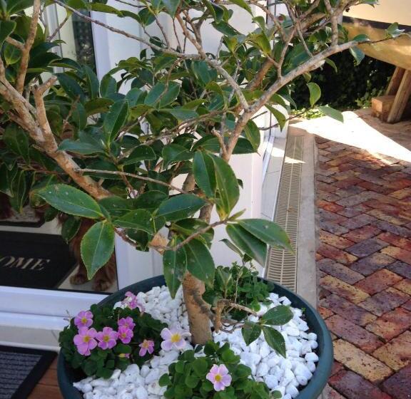 فندق Edenwood House