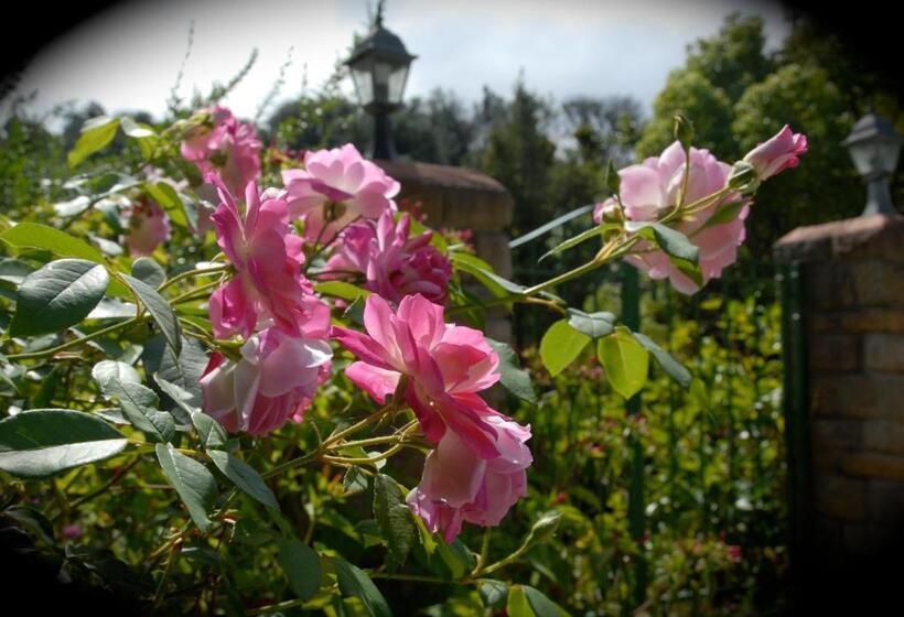 Отель Edenwood House