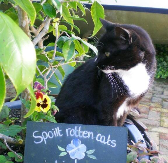 فندق Edenwood House