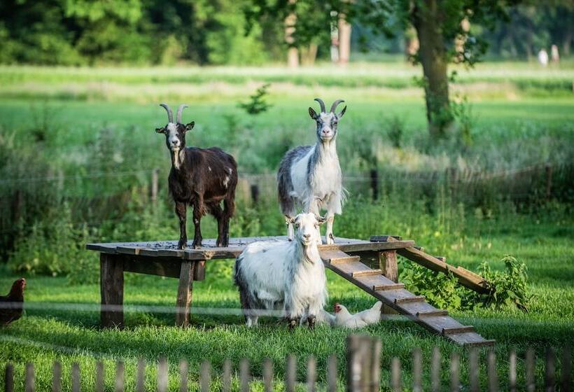 בית מלון כפרי Erfgoed Bossem