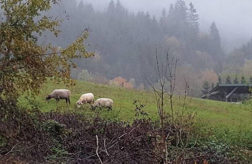 Ferien Vom Ich, Bayerischer Wald, Hotel & Restaurant