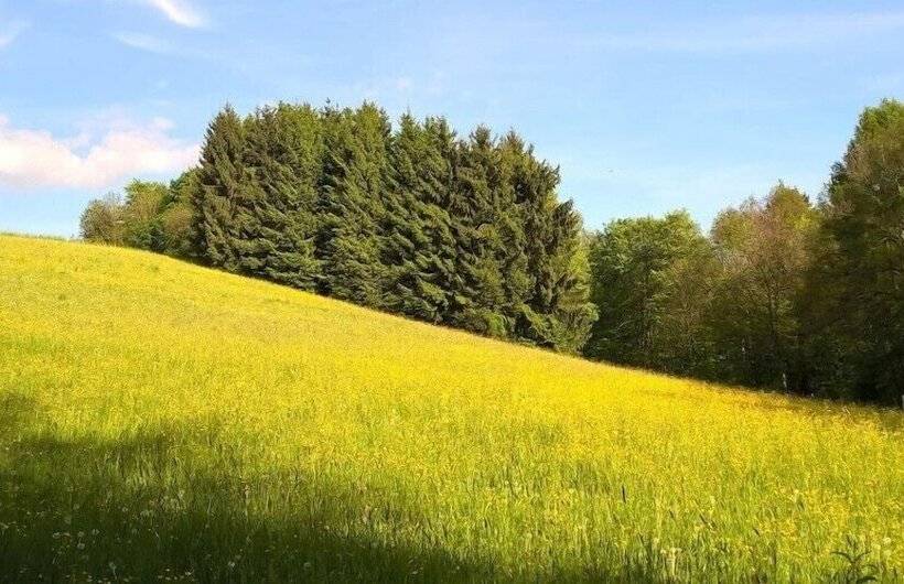 Ferien Vom Ich, Bayerischer Wald, Hotel & Restaurant