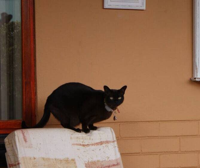 בית מלון כפרי Hampton House Guest House