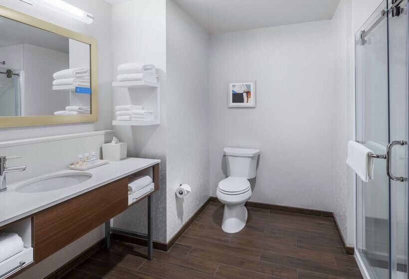 Отель Hampton Inn Chicago Mccormick Place