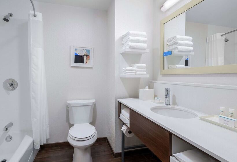 Отель Hampton Inn Chicago Mccormick Place