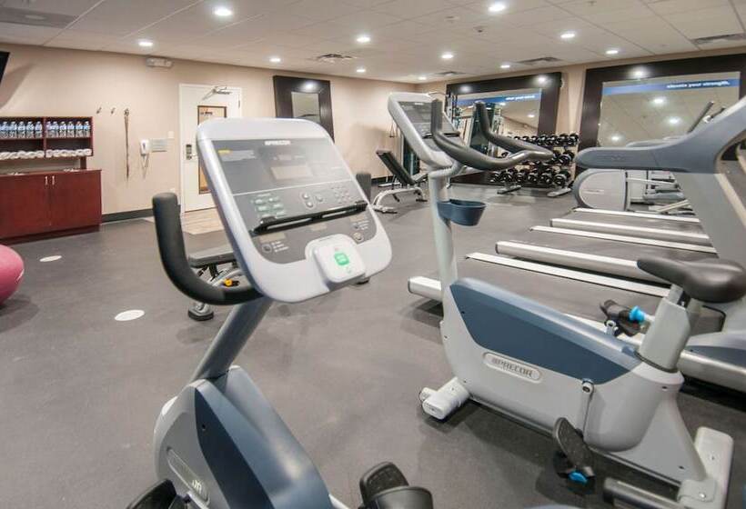 فندق Hampton Inn Opelousas