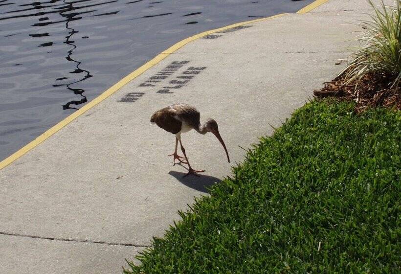 فندق Hontoon Landing Resort & Marina