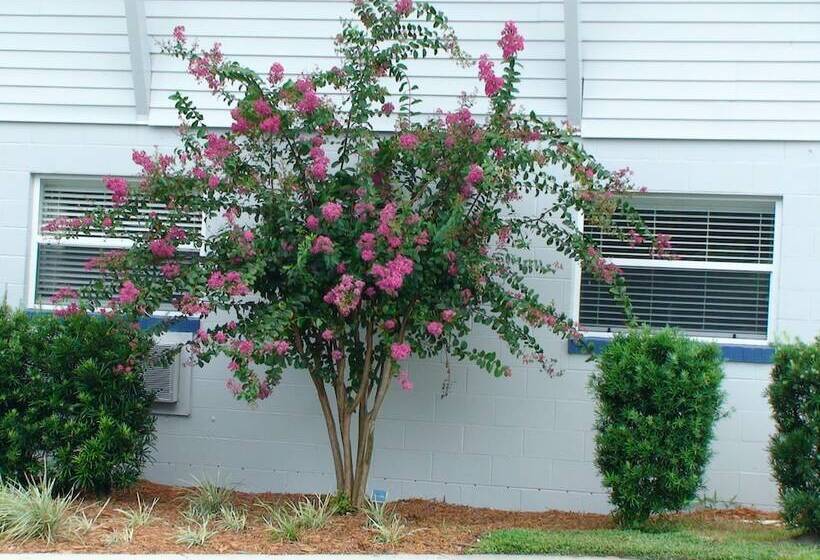 فندق Hontoon Landing Resort & Marina