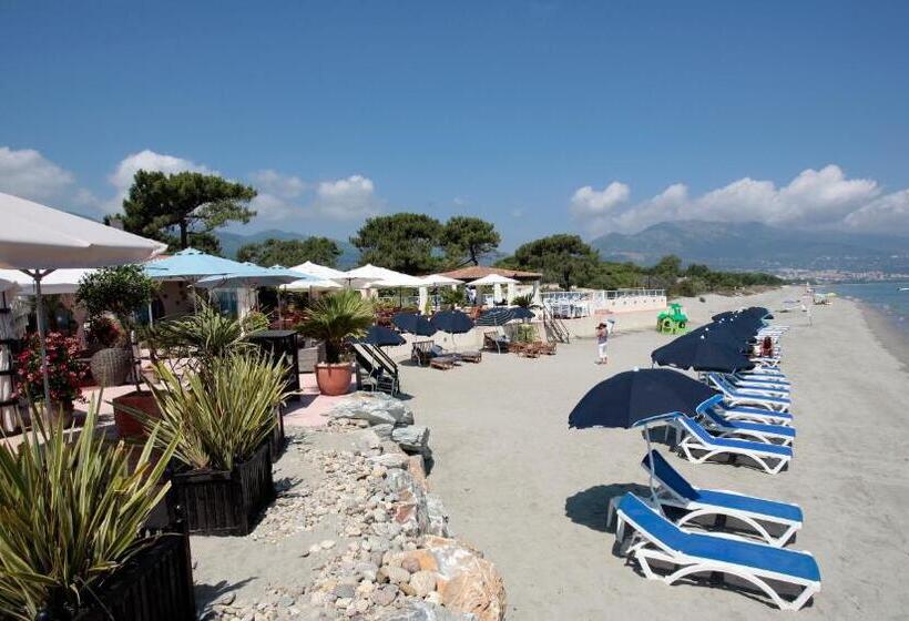 酒店 Hôtel Pineto