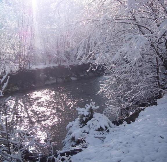 酒店 Kur-camping & Appartementhaus Erlengrund