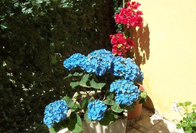 ホテル Le Divine Reception Via Xxv Aprile 5