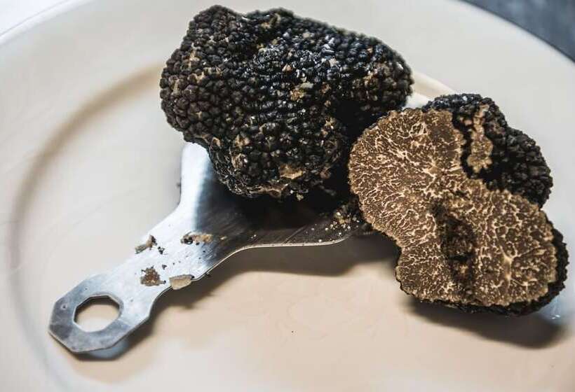 هتل Le Vecchie Cantine