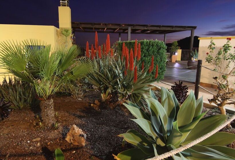 ホテル Hospederia Rural Los Palmitos