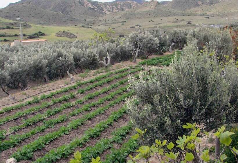 ホテル Hospederia Rural Los Palmitos