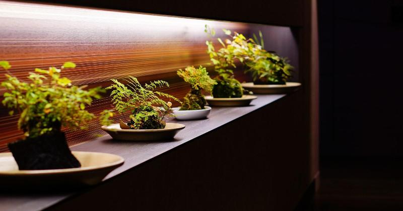 فندق Nanki-shirahama Marriott