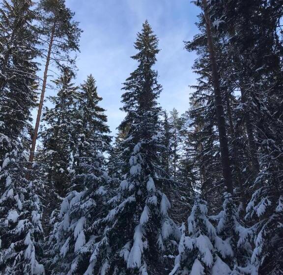 Отель Pension Baarblick