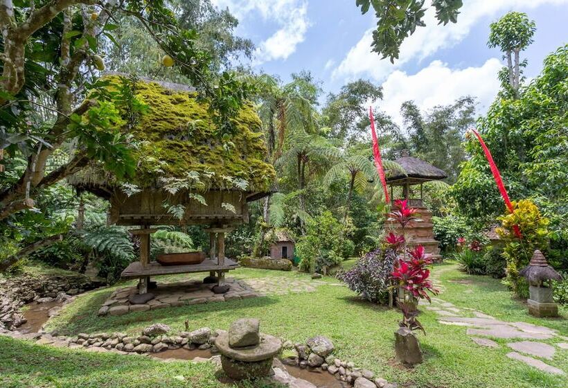 בית מלון כפרי Prana Dewi Mountain Resort