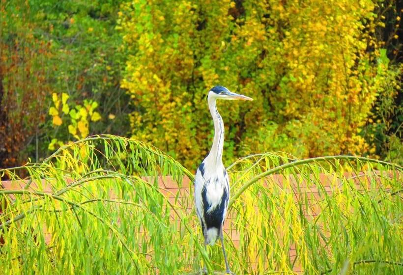 فندق San Francisco Lodge & Spa