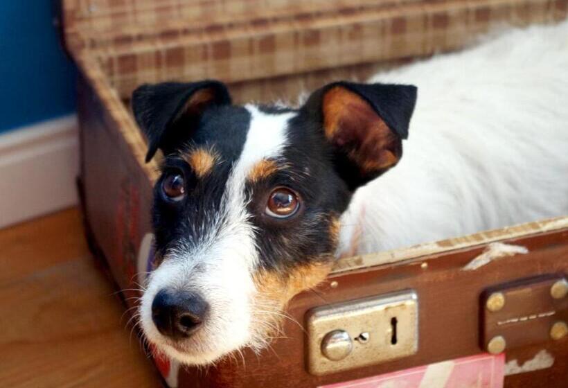 فندق Schloss Hertefeld & Hertefeldhof