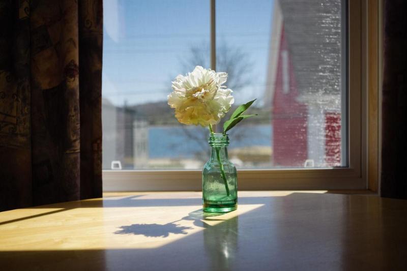 فندق Smugglers Cove Inn