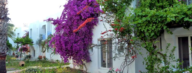 فندق Tamarisk Murat