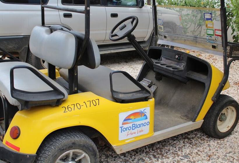 ホテル Toro Blanco