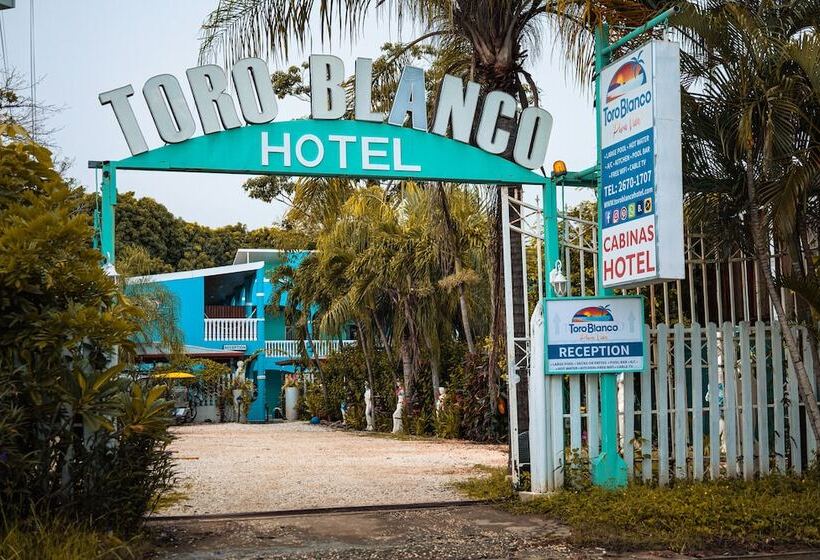 ホテル Toro Blanco