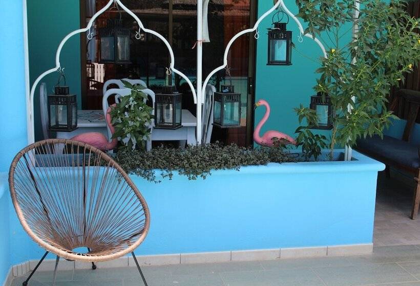 ホテル Toro Blanco