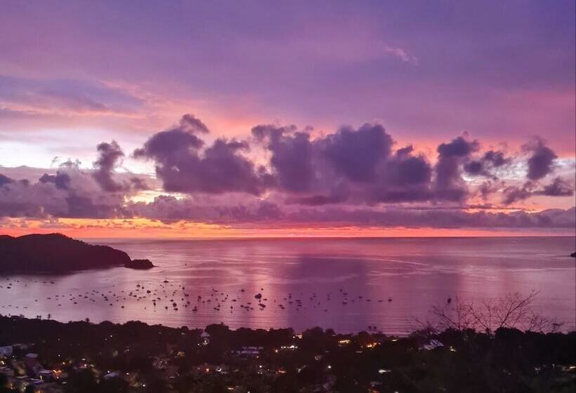 ホテル Toro Blanco