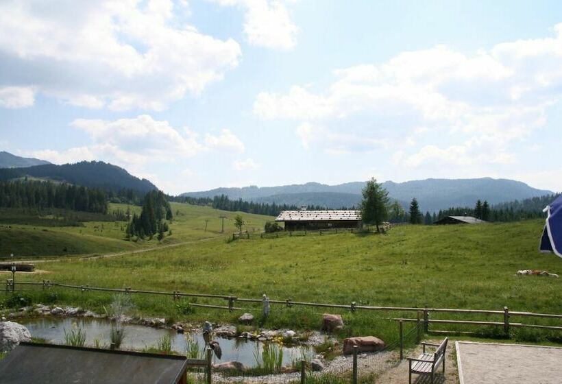 Отель Zum Postillion