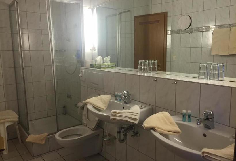 Отель Zur Buche