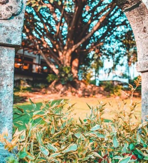 La Provence Restaurant & Hotel Boutique